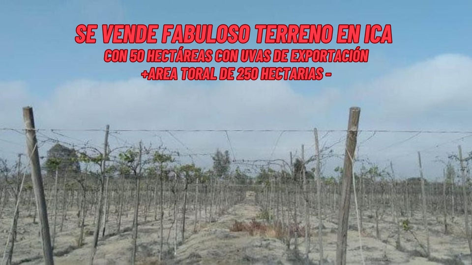 ICA - SE VENDE FABULOSO TERRENO DE 250 HECTAREAS (ICA - PERU)