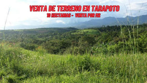 TARAPOTO -  VENTA DE TERRENO DE 10 HECTAREAS (TARAPOTO - PERU)