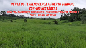 POZUZO - PUERTO ZUNGARO - SE VENDE AMPLIO TERRENO DE 200 HECTAREAS (POZUZO - SELVA CENTRAL - PERU)