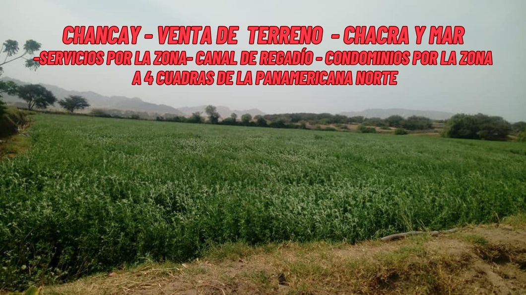 CHANCAY - VENDO TERRENO DE 3 HECTAREAS CON TITULO EN EL PROXIMO PUERTO INTERNACIONAL CON CHACRA Y AL BORDE DEL MAR (CHANCAY - PERU)