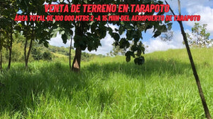 AMAZONAS - VENTA DE TERRENO DE 10 HECTAREAS (LORETO - PERU)