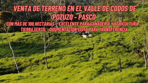 POZUZO / VENTA DE TERRENO DE 100 HECTAREAS, EXCELENTE PARA GANADERIA Y AGRICULTURA (POZUZO - PERU)