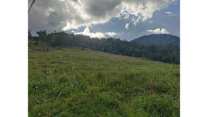 CHACHAPOYAS,  TERRENO EN VENTA DE 12 HECTAREAS (CHACHAPOYAS - PERU)