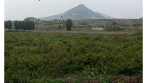 CHANCAY - VENDO TERRENO DE 3 HECTAREAS CON TITULO EN EL PROXIMO PUERTO INTERNACIONAL CON CHACRA Y AL BORDE DEL MAR (CHANCAY - PERU)