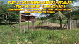 CODOS POZUZO CARRETERA A PUCALLPA - VENTA DE TERRENO DE 170 HECTEREAS (SELVA CENTRAL - PERU)